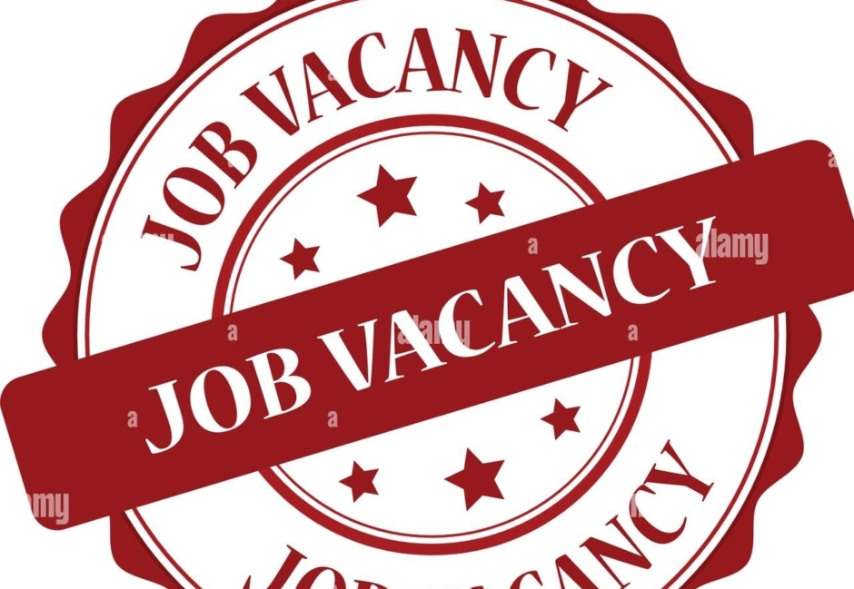 Punjab Education Foundation Announces 100 Jobs With Salaries Up To Rs 200000