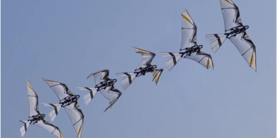 Scientists Develop A Breathtaking Robot That Can Take Off Like A Bird