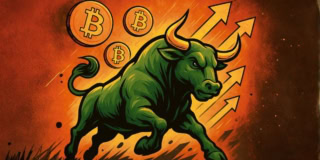 Analyst Assigns 55 Chance That Bitcoin Bull Run Isnt Over Yet Heres Why