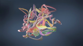 Chinese Researchers Use Ai To Explain Convergent Evolution In Species