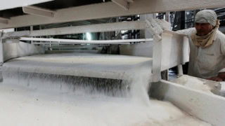 Fbr Tightens Sugar Mills Monitoring Ahead Of Crushing Season