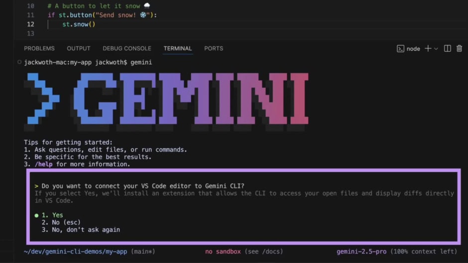 Google Gemini CLI Extensions for Developers