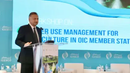 Govt Reappoints Dr Raheel Qamar As Comsats Rector