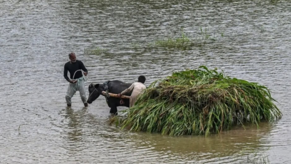 Punjab Approves Rs20000 Per Acre Aid For Farmers Hit By Floods