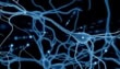 Scientists Develop Artificial Neurons That Behave Exactly Like A Human Brain