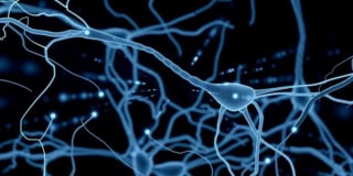 Scientists Develop Artificial Neurons That Behave Exactly Like A Human Brain