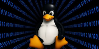 Legacy Linux Flaw Cve 2024 1086 Drives Resurgence Of Ransomware Attacks