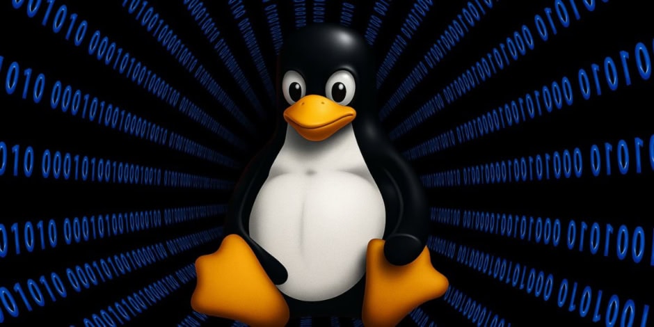 Legacy Linux Flaw Cve 2024 1086 Drives Resurgence Of Ransomware Attacks