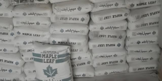 Maple Leaf Cement To Acquire Pioneer Cement In Big 270 5m Deal