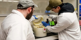 600 Volts From Gel The Living Battery Tech That Mimics Nature