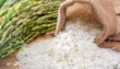 Exporters Alarmed As Pakistan Rice Shipments Drop Govt Incentives Announced