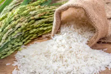 Exporters Alarmed As Pakistan Rice Shipments Drop Govt Incentives Announced