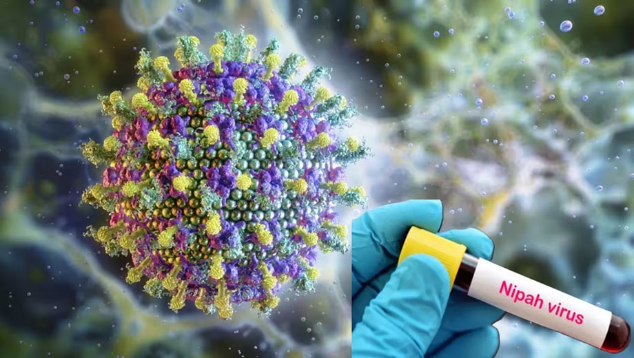 Pakistan Heightens Border Screening After Nipah Virus Cases Emerge In India