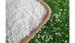 Pakistans Urea Sales Hit Record 1 356 Million Tons In December