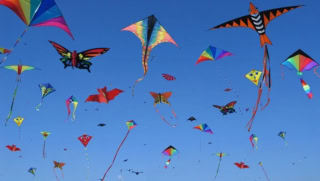 Punjab Government Cracks Down On Unsafe Basant Practices