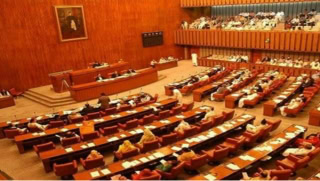 Senate Committee Summons It Ministry Over Former Pak Data Com Ceo Allegations