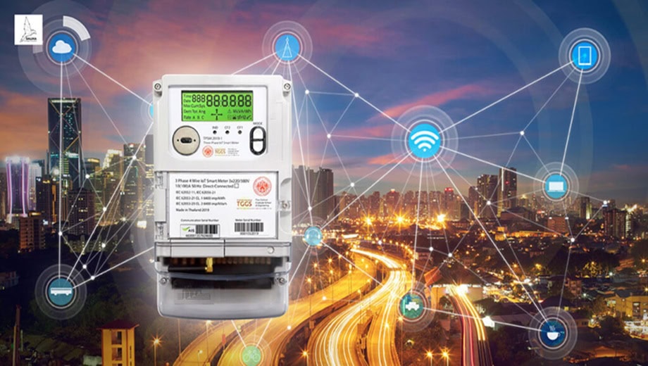 Standing Committee Reviews Ami Meter Installations Sepco Reforms Under Consideration