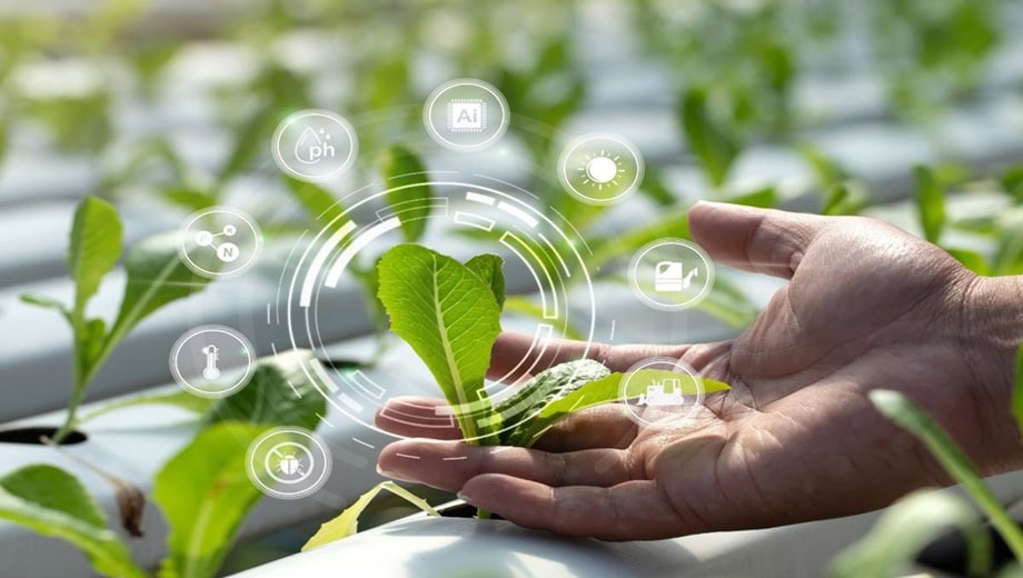 Cabinet Approval Signals Shift Towards Technology Driven Agriculture