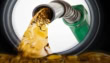Cheap Chemicals Allegedly Mixed In Petrol Dealers Write To Government