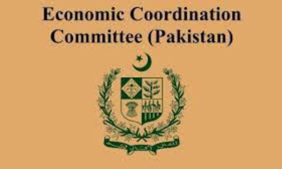 Ecc Approves Grants For Elections Education Security Ptdc Plan