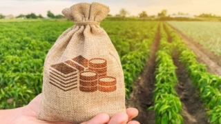 Governor Sbp Calls For Scaling Up Zarkheze To Expand Agricultural Credit Outreach