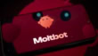 Moltbot Plain Old Hype Tactics Or Major World Changing Shift