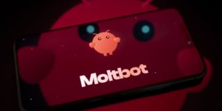 Moltbot Plain Old Hype Tactics Or Major World Changing Shift