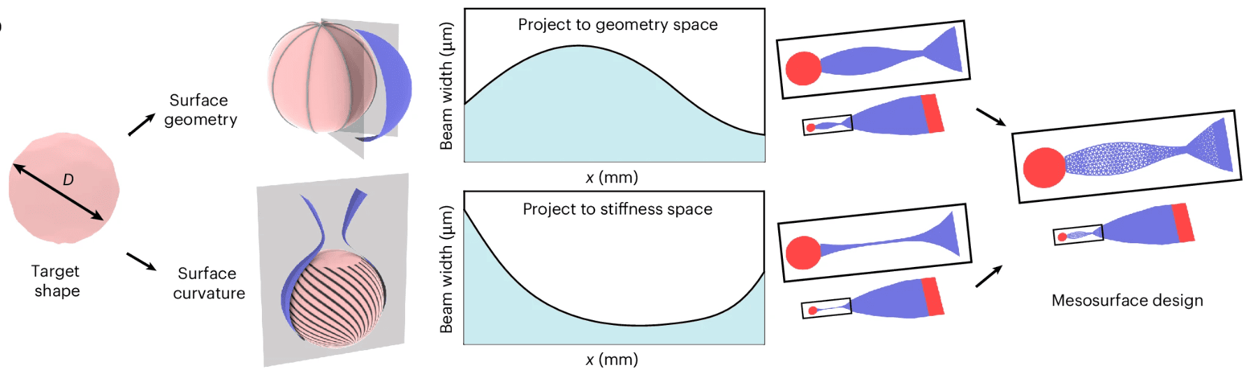 Scientists Wrap Mini Brains In Soft Bioelectronics To Track Brain Waves 