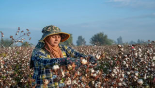 Sindh Community Foundation Launches Literacy Centers For Women Cotton Workers