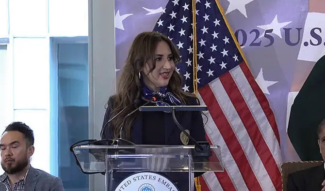 U S Officials Host Webinar Connecting American Ict Firms With Pakistani Government For Investment Opportunities