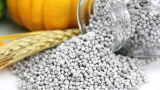 Pakistans Dap Supply At Risk As Middle East Crisis Deepens