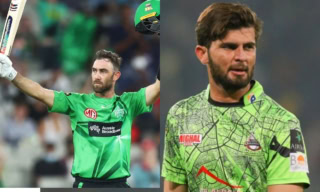 Psl 2026 Key Players To Watch In Qalandars Vs Kingsmen Opener