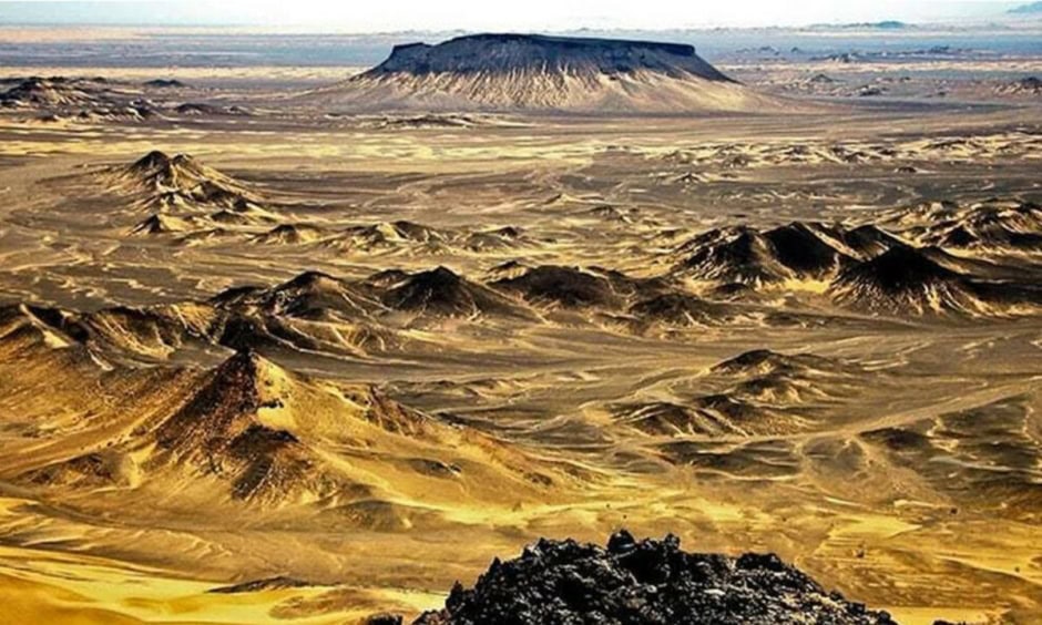 Senate Panel Seeks Review Of Mineral Land Leases