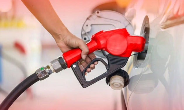 Govt Cuts Petrol And Diesel Prices