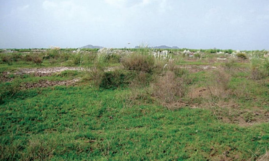Punjab Turns Barren Land Into Fish Farms