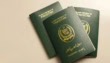 Top Court Suspends Lahore Ruling On Passport Bans