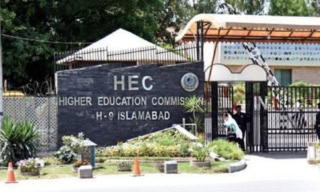 Govt Approves New Package And Incentives For Hec Chairman