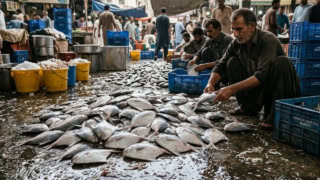 Pakistan Fish Exports Cross 500 Million For First Time In Current Fiscal Year