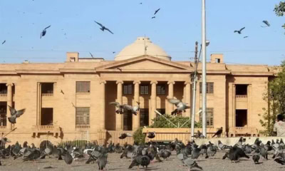 Sindh High Court Launches First Ai Powered Legal Search Engine