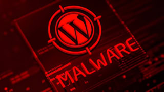 Hackers Are Draining 100000 Wordpress Sites Now