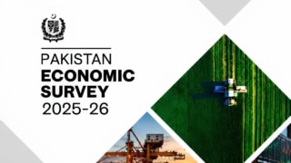 Pakistan Economic Survey 2025 26 Economy Hits Record 452 Billion