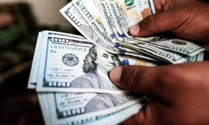 Pakistans Remittances