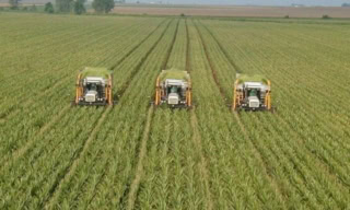 Punjab Govt Announces Major Agriculture Subsidies For Budget 2026 27
