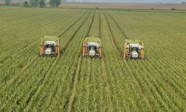 Punjab Govt Announces Major Agriculture Subsidies For Budget 2026 27
