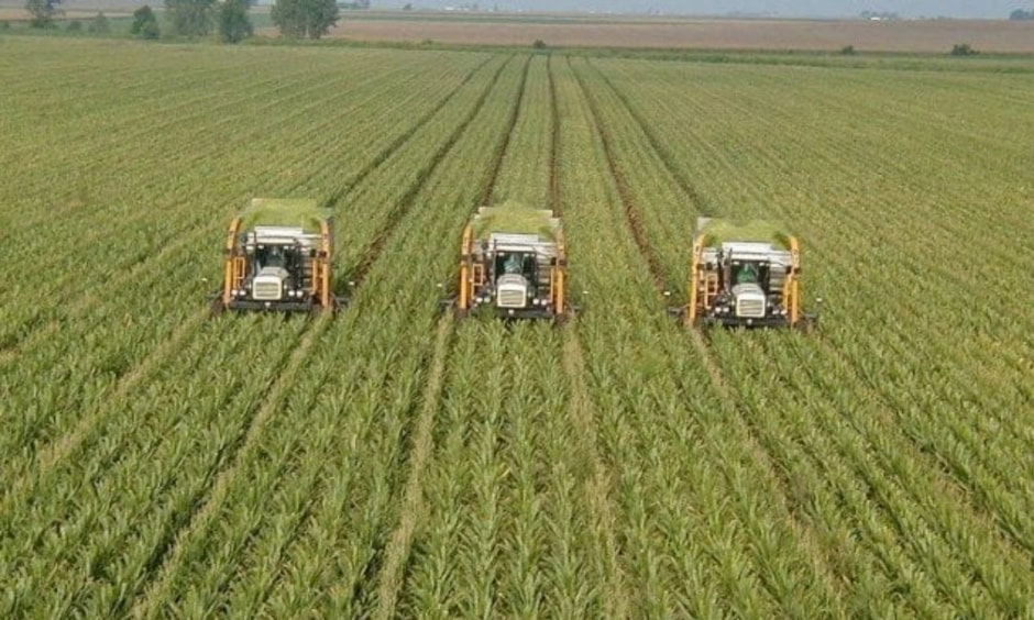 Punjab Govt Announces Major Agriculture Subsidies For Budget 2026 27