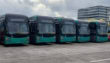 Women Only Pink Buses Coming As Peshawar Brt Fleet Grows