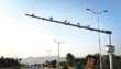 Agp Flags Rs21 Million In Unpaid Safe City Islamabad Traffic Fines