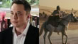 Elon Musk To Challenge Christopher Nolan With Ai Made Odyssey Film