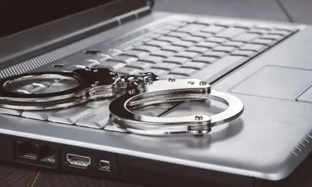 Nccia To Launch Special Cell In Punjab For Cybercrimes Against Women Children