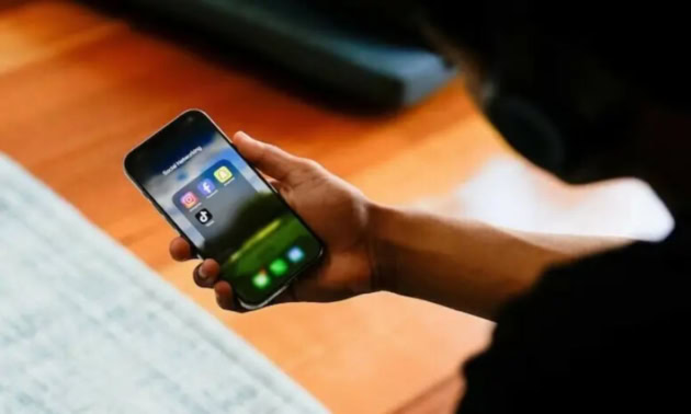 Punjab Assembly Resolution Seeks Ban On Social Media For Under 16s